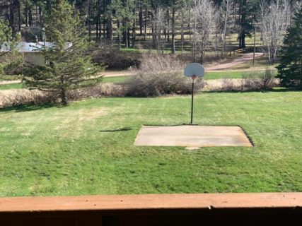 Community Back Yard with basketball hoop